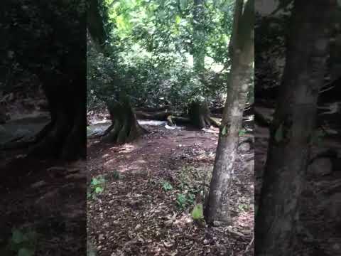 Finca con vivienda en venta en Coyolar de Orotina Alajuela