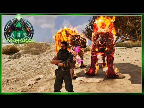 Pyromane Taming is Nuts but wicked cool! - Ark Ragnarok Nomad 35