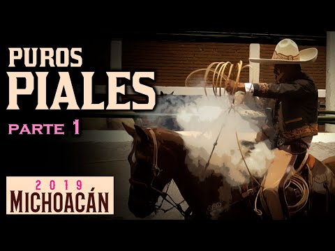Pure PIALES on the CANVAS part 1 - Morelia Congress 2019