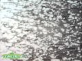 Sesame Street Beginnings Song