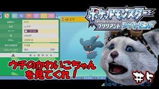 【ポケモンBD】推しポケと歩く幸せを噛みしめよう＃5【ブリリアントダイヤモンド】