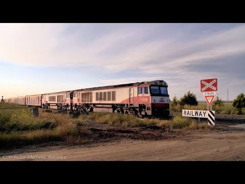 7PM9 SCT Freight Train With CSR008 + CSR004 (17/11/2021) - PoathTV Australian Trains & Railways