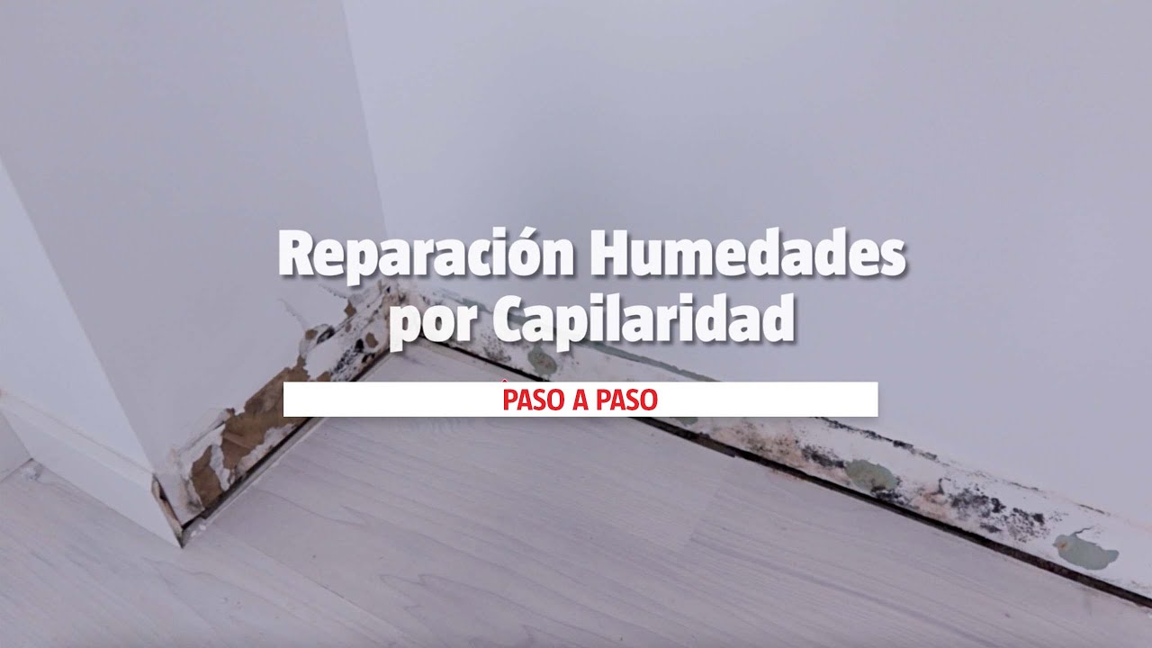 Watch Reparación de humedades por capilaridad - BAUHAUS Now Reparación de humedades por capilaridad - BAUHAUS