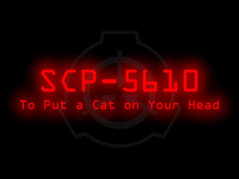 SCP-5610 - To Put a Cat on Your Head