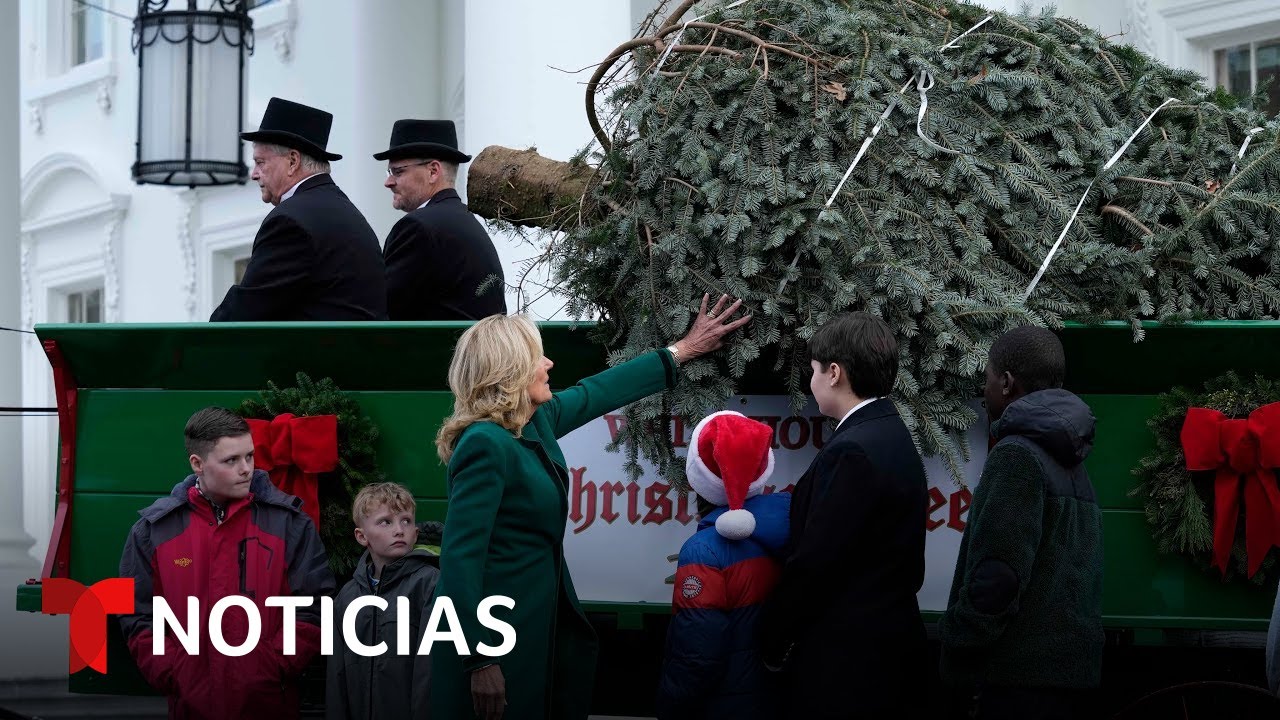 EN VIVO: La primera dama recibe el árbol de Navidad de la Casa Blanca