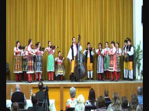 Meteláček   Koníček