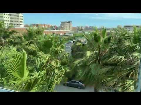 AVENUE 64 - Fifth Avenue Layout w/ Vaulted Ceiling - 2 Bed, 2 Bath Apartment Home