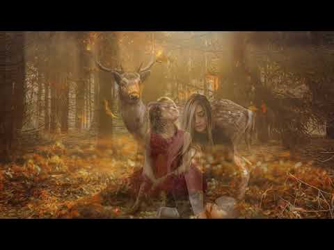 Saint Of Sin  Liquid Light Solarsoul Remix(autumn video edit)