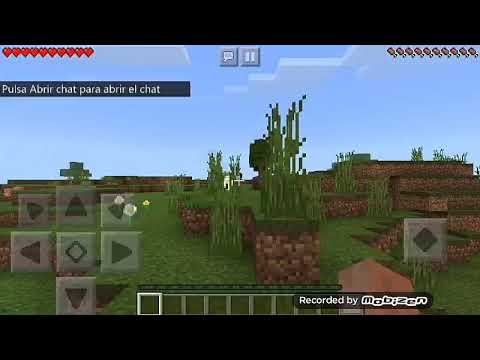 Si veo un aldeano se termina el video