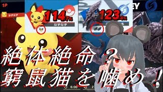 【東方MMDゆっくり実況】ピチューでピッチュピチュしたいpart.1【スマブラSP】