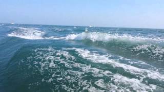 Orkney Day Angler 19+ drifting the Shambles