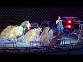 Ringling Brother S Big Cats Tigers And Lions Show