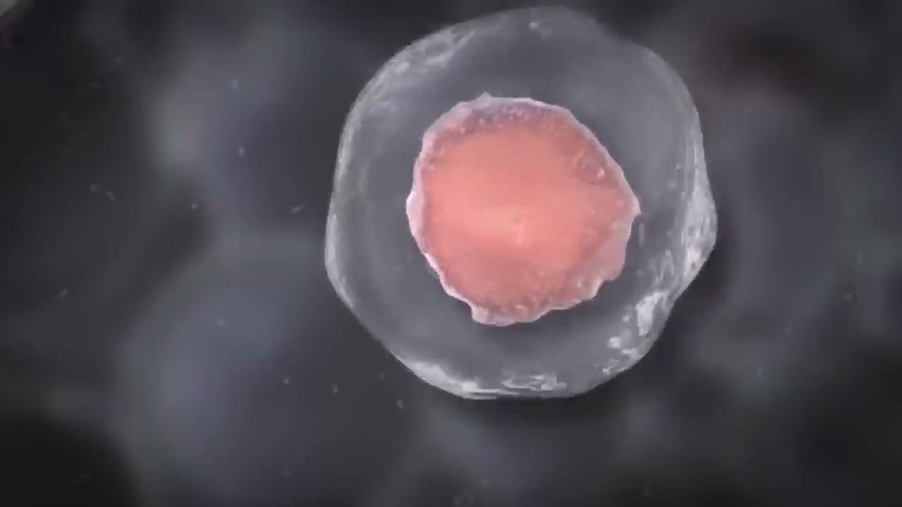 Gabriel Aceves Castillo-4