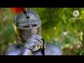 Between The Lions Gawain S Word Next Compilation