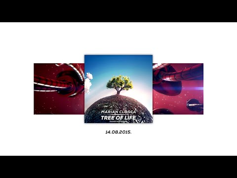 Marian Closca - Autobots