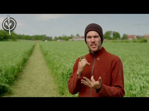 Die Zukunftsbauern - Agroforst und Keyline Design Teil 2