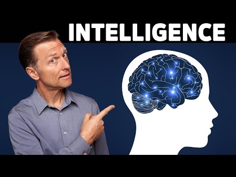 What is MTHFR – Dr Berg Explains in Simple Terms