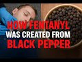 How Fentanyl Was Created From Black Pepper