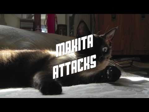 Makita Attacks