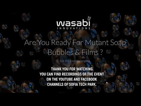 SoFiA 1st Workshop on Artificial Photosynthesis and Soap Films - DAY 2