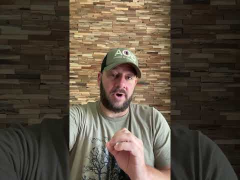 If You Thought There Was Pressure Before… Buckle Up #shortsfeed #shortsvideo #congress #langley #goa Thumbnail