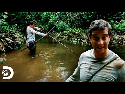 Bear pesca pirañas con arco y flecha en la Amazonia | A Prueba de Todo | Discovery Latinoamérica