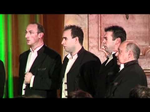 murtilica lipo cvice