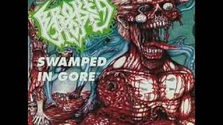 Broken Hope-Gore Hog