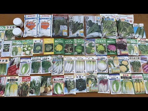 秋の菜園 – 7月から8月に種を蒔いたり植えたりするのに最適な野菜  庭園