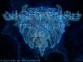 Nightwish Feel For You