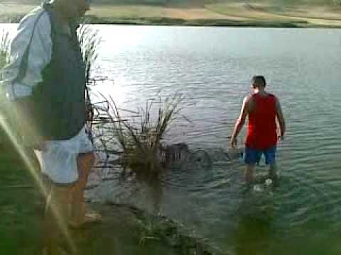 Captura Posta Elan 100 kg