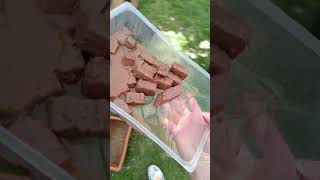 enrichir la nourriture des animaux l'hiver #campagne #animal #maman #vlog