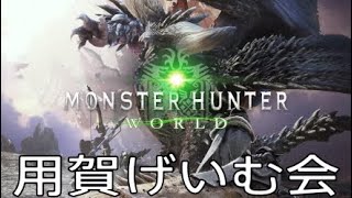 Monster Hunter: World*３４２