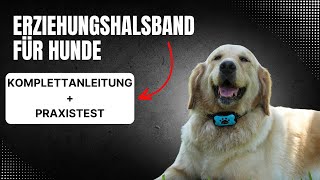 Erziehungshalsband für Hunde | Komplettanleitung und Anwendung des Anti Bell Halsbandes