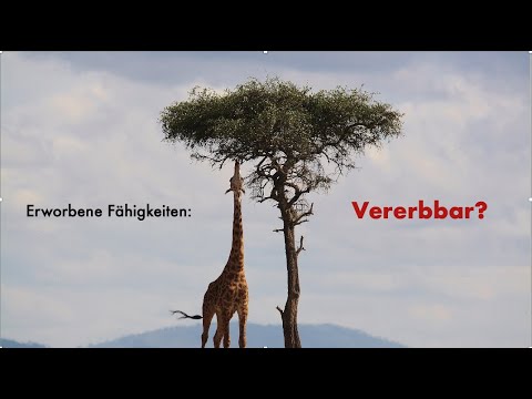 Genetic basics: germline vs somatic mutations