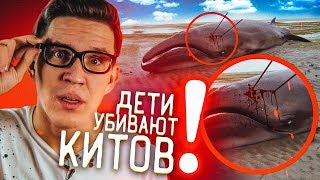 Дети УБИВАЮТ Китов | Кошмар в Европе! Это надо остановить...