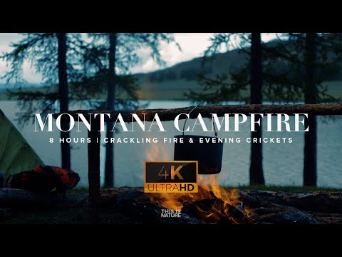 MONTANA CAMPFIRE (4K UHD) | Fire & Crickets - 8 Hours - Relaxing Nature Sleep Sounds - ASMR