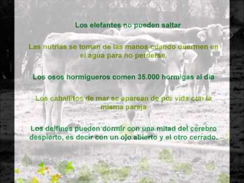 Victor Madera. Curiosidades del mundo animal