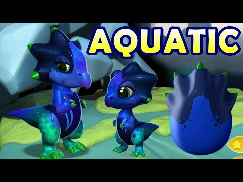 AQUATIC DRAGON BREEDING GUIDE! How to Breed the Aquatic Dragon DML (DOTW 23-30th April)