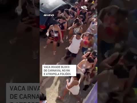 Vaca invade bloco no Rio Grande do Norte e atropela foliões #shorts