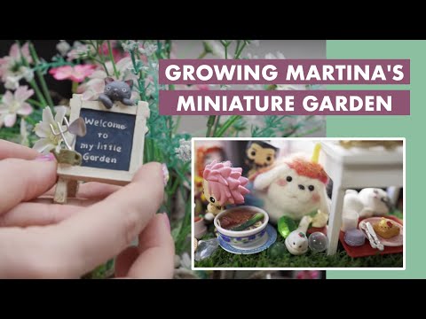 種植瑪蒂娜的微型花園 (Growing Martina's Miniature Garden)