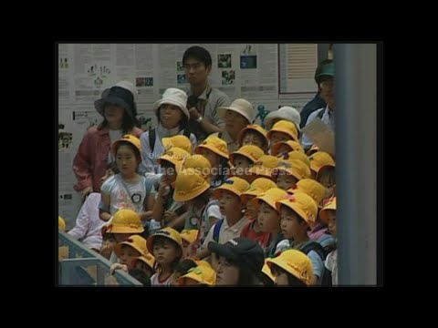 The next generation of robots are unveiled at Japan's Prototype Robot Exhibition