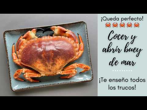 Cómo Cocer y Abrir un BUEY DE MAR O CENTOLLO🦀 Todos los TRUCOS👩🍳