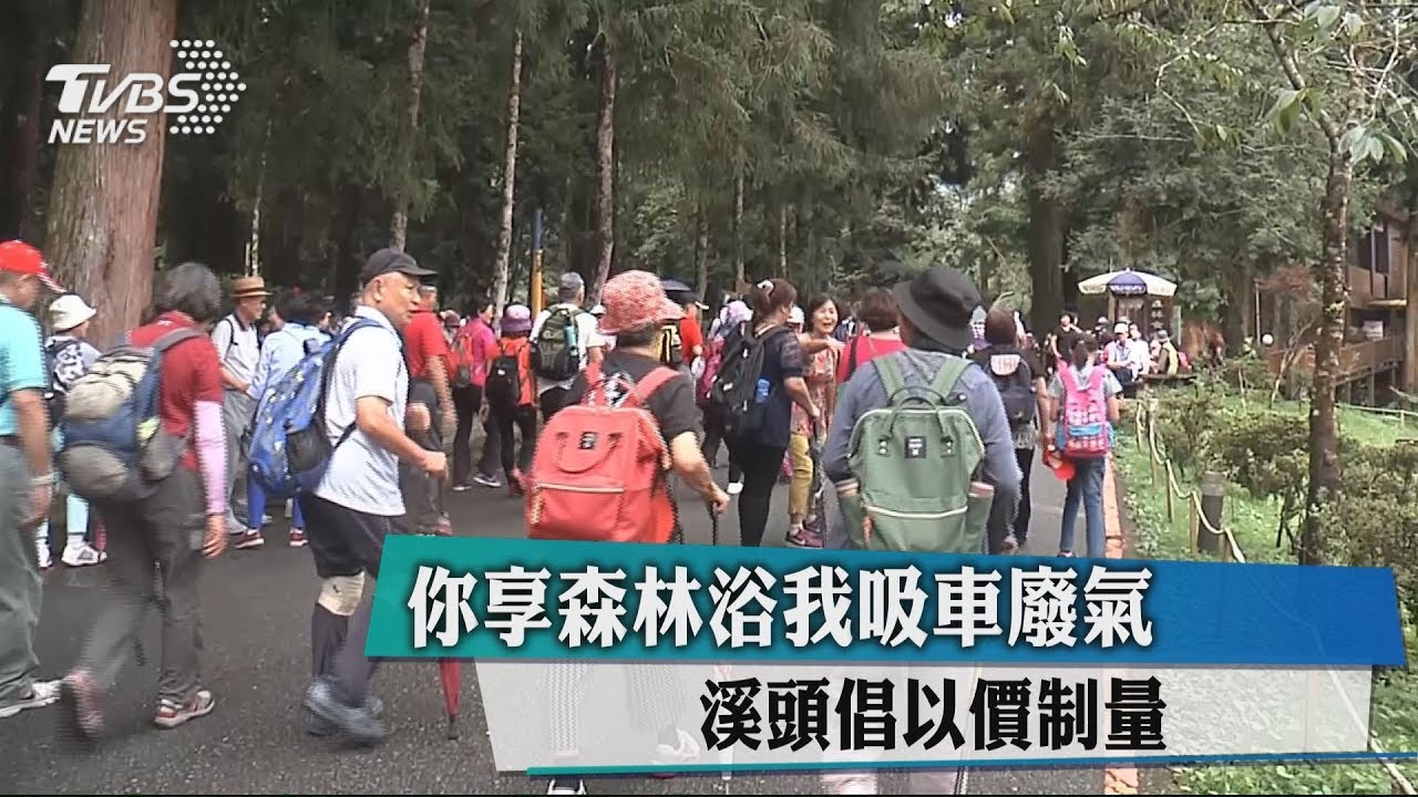 你享森林浴我吸車廢氣　溪頭倡以價制量