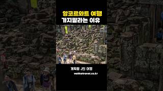캄보디아 앙코르와트 여행 별로인 이유