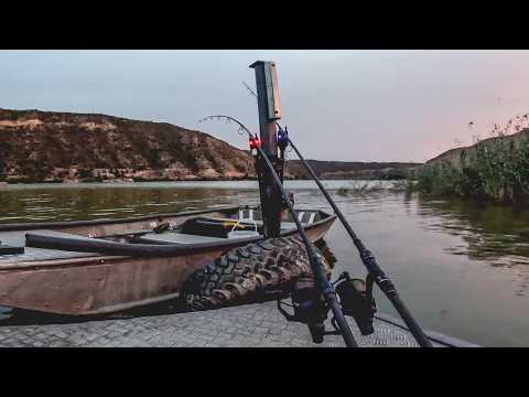 Karpfenangeln am großen Fluss I Road Trip Folge 3