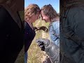 TikTok compilation 2021 | Eagle flying between two girls || Eagle coming to owner's hand || #eagle