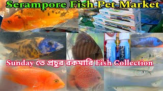 Serampore Sunday Collection Aquarium Fish | Serampore Aquarium Fish Shop | Aquarium Fish Haat 