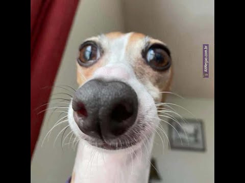 SIM, ESSE FOI O MEU PRIMEIRO JOGO DE 2019 E FIZ UMA SPEEDRUN DE 10 MINUTOS ;-;