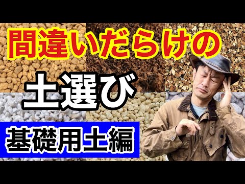 サボテンの花壇にあるポッツォラーナと小さな白い小石のマリアージュ